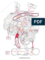 Bilirubin Metabolism Washed PDF