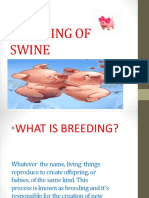 Breeding of Swine