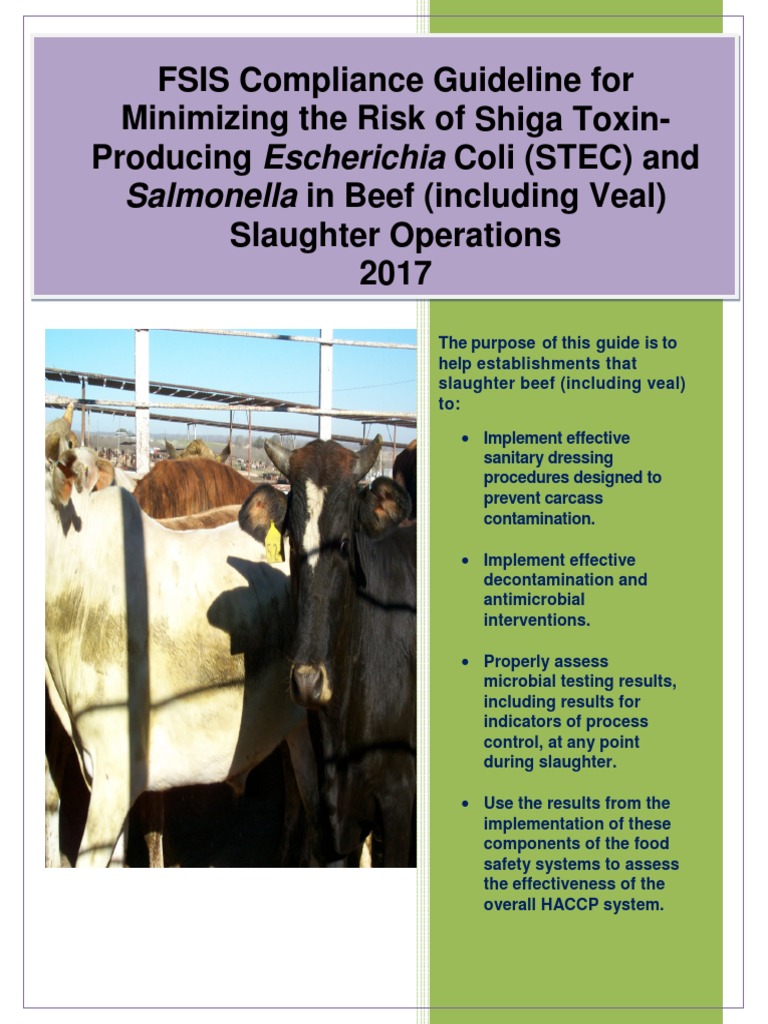 Compliance Guideline STEC Salmonella Beef Slaughter PDF Foodborne