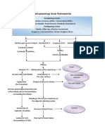 Pathophysiology of Acute Pyelonephritis