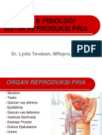 Anatomi & Fisiologi Sistim Reproduksi Pria