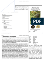 Aguacate PDF