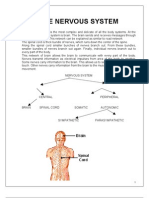 Genexglob Manual