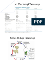 Perbedaan Morfologi Taenia SP