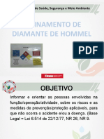 Treinamento Diamante de Hommel.pdf
