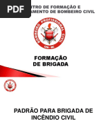 AULA FORMAÇÃO DE BRIGADA CFA-BC MD1.pptx