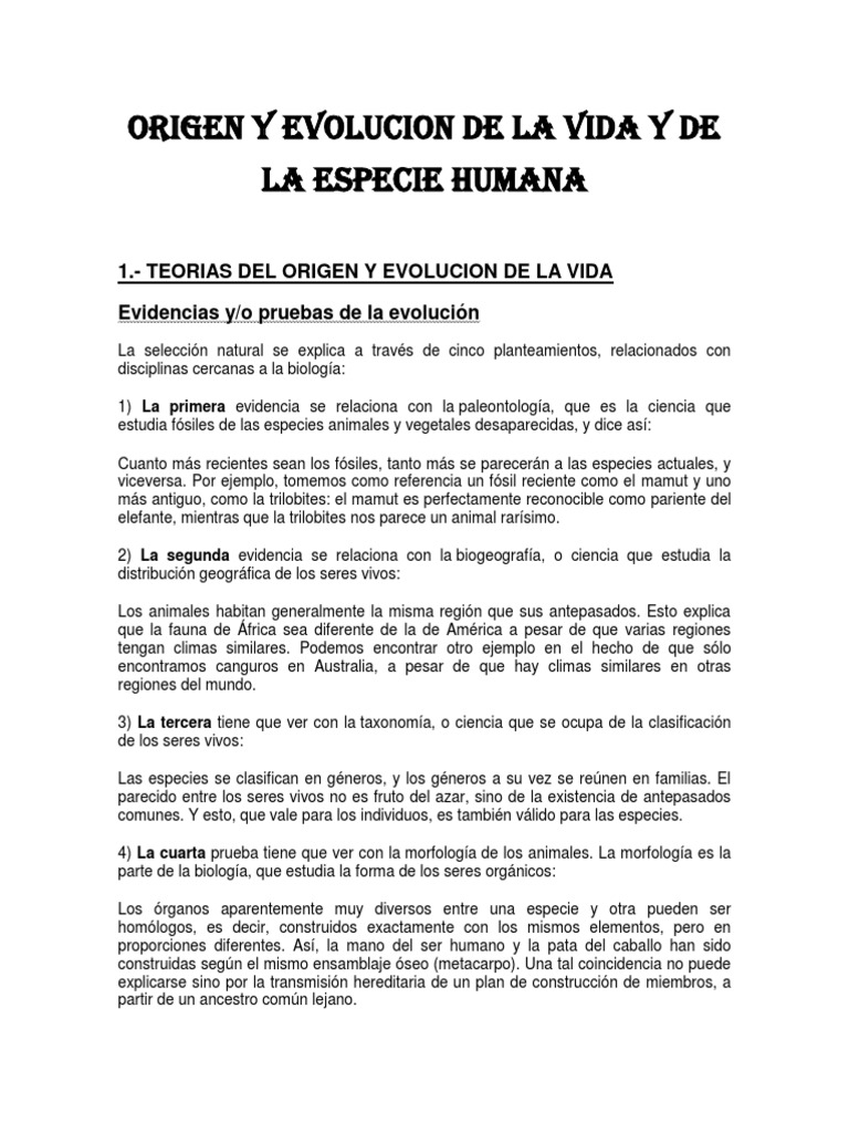 Origen y clasificación del ser humano | PDF | Evolución | Homo