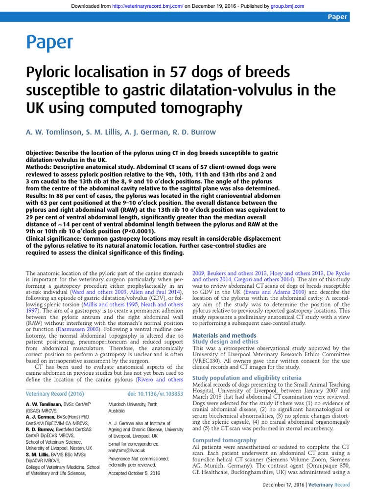 Paper Ct Scan Abdomen