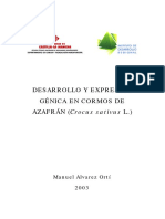 Desarrollo y Expresion Genica en Cormos de Azafran PDF