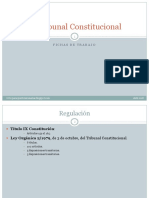El Tribunal Constitucional PDF