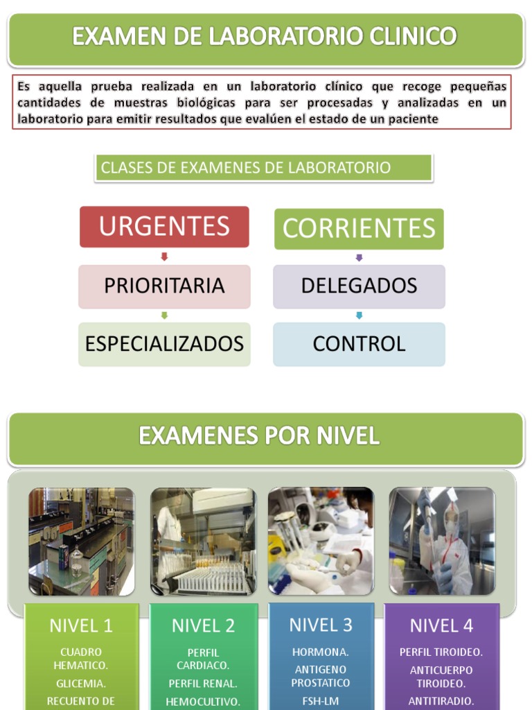 Niveles y áreas de exámenes de laboratorio clínicos | PDF | Sangre ...