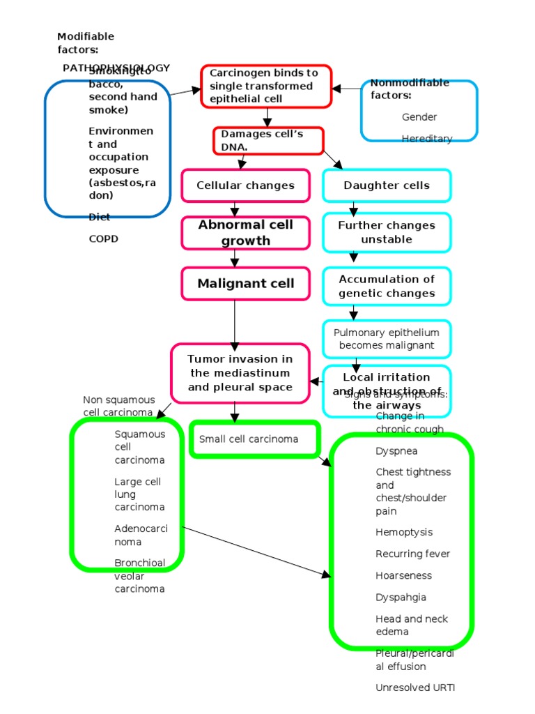 Lung Cancer Pathophysiology Overview | PDF | Carcinoma | Epithelium