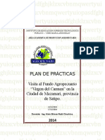 Formato de Plan de Practicas