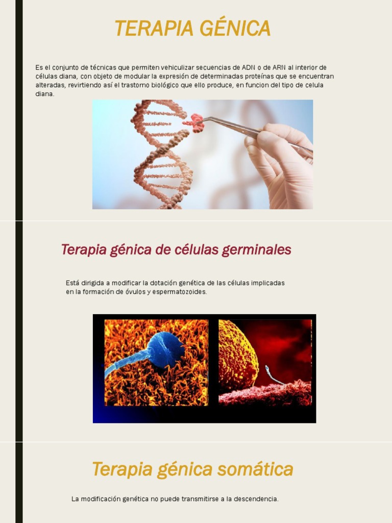Introducción a la terapia génica | PDF | Terapia de genes | Gene