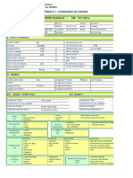 Formatos Puente