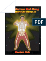 Bone_Marrow_Nei_Kung.pdf