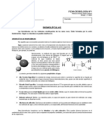 2°-Ficha-1-Biomoléculas