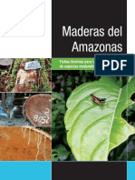 Archivo Amazonas Web 2
