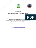 6plagas PRESENTACION.pdf