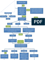 Doc1 Numeros Reales Grafico