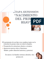 Etapa Extensión