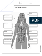 Efectos Alcohol en El Cuerpo PDF