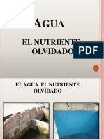 Agua 1