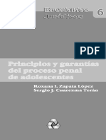 Principios y Garantías Del Proceso Penal de Adolescentes