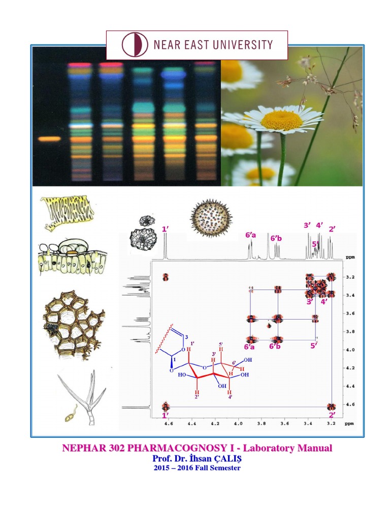 Nephar302 Pharm I.lab I.calis 6 PDF Two Dimensional Nuclear