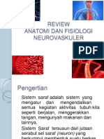 review anfis neorovaskular
