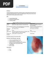 CSF Rhinorrhea