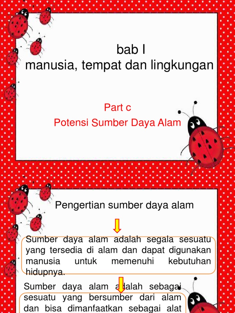 Bab 1 Manusia Tempat Dan Lingkungan Part C Sumber Daya Alam