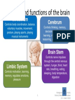 Functions of The Brain