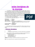 Neoplasia S Benign As Mucosa Oral 2004