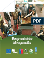 Undp CL Medioambiente Manejo-Bosque-Nativo PDF