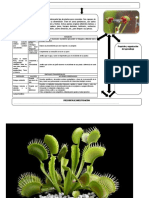 Plantas carnívoras y sus mecanismos de captura