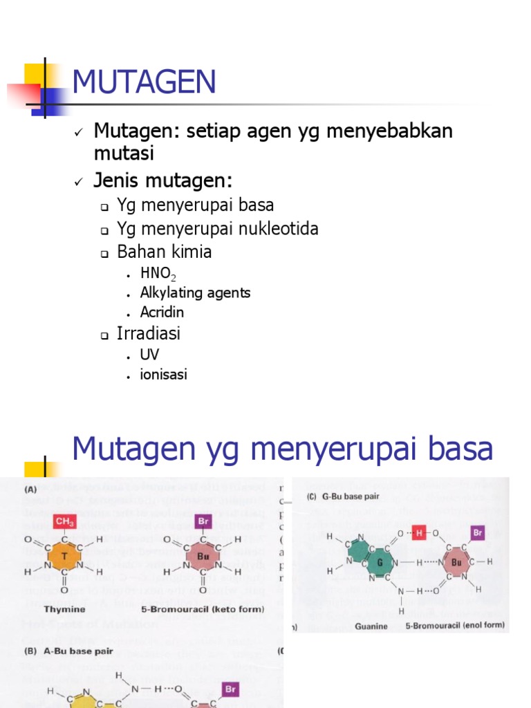 MUTAGEN | PDF
