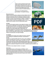 animal en peligro.docx