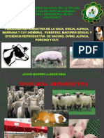 Eficiencia Reproductiva de Animales Domesticos.