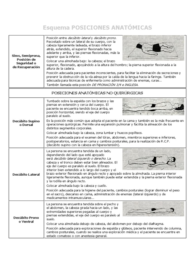 Esquema POSICIONES ANATÓMICAS | Términos anatómicos de ubicación | Abdomen