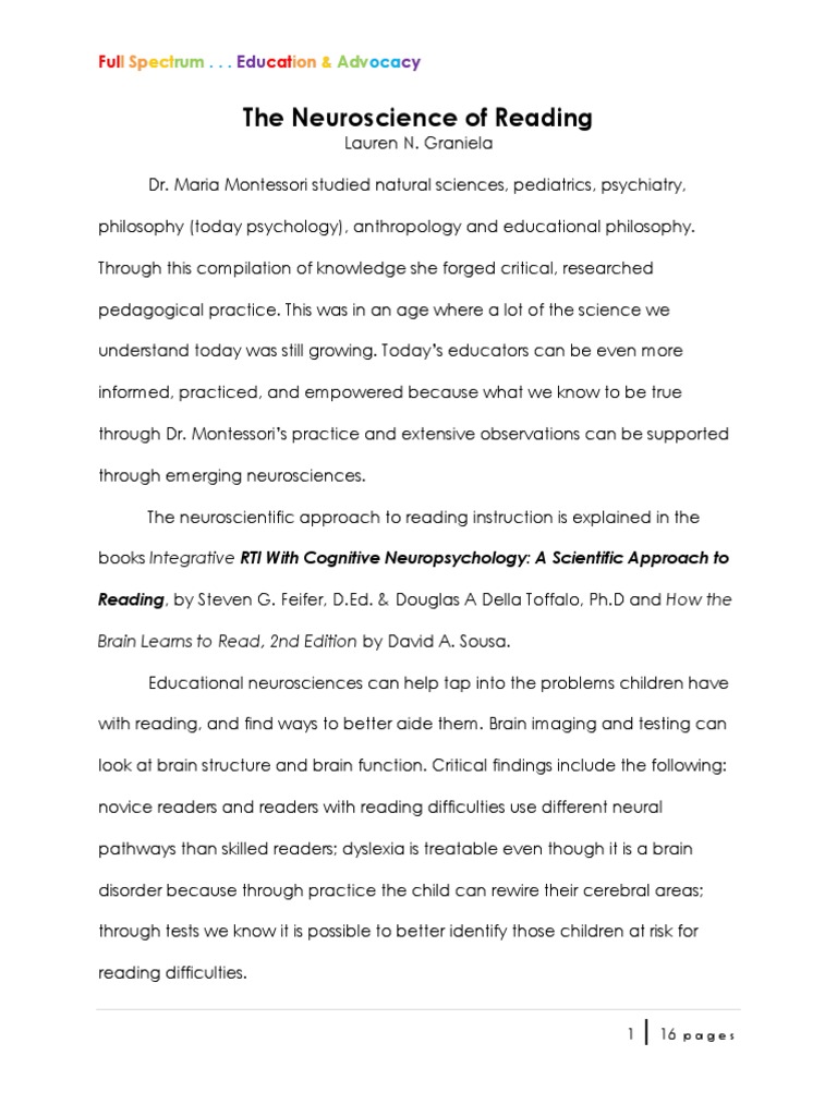 The Neuroscience Of Reading Pdf Memory Vocabulary