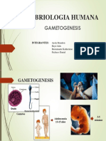 Embriología Humana