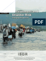 624 EnvironmentanddisasterriskNov08 PDF