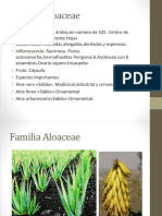 9Familia Aloaceae fin.pptx