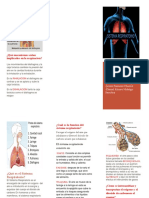 BIOLOGIA INTEGRADORA 