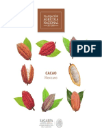 B Sico Cacao