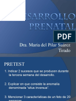 Desarrollo Prenatal Clase Dra Pilar Suarez Completo