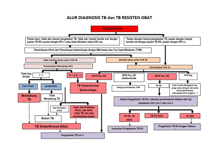 Alur Diagnosis Tb Dan Tb Resisten Obat