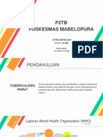 Program P2TB