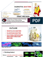 Bab 2 Protista Prokariotik Bakteri